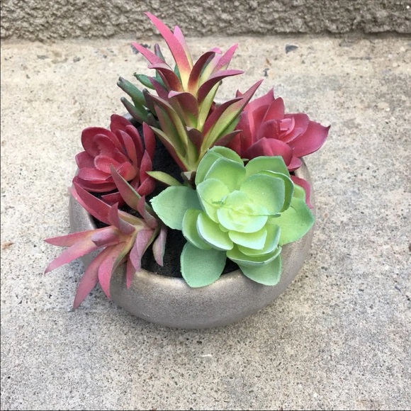 🏠 Artificial Succulent Plants - Picture 3 of 5